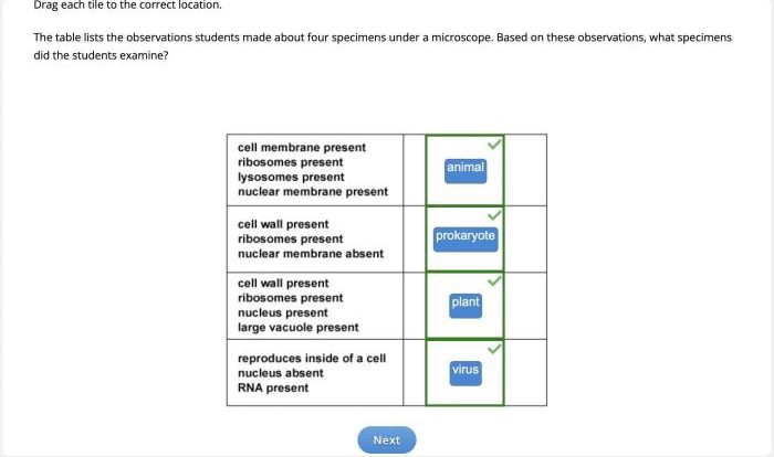 Is archaea a heterotroph or autotroph