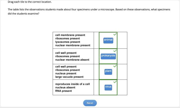 Is archaea a heterotroph or autotroph