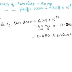 A raindrop has a mass of 50 mg