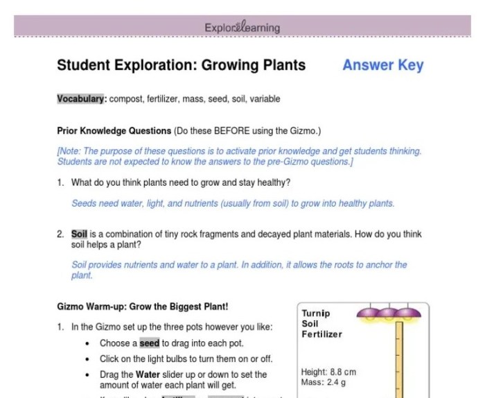 Gizmo answer key evolution mutation and selection