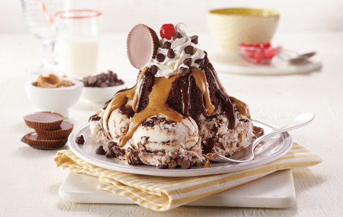 Friendly's hunka chunka peanut butter cup lava cake sundae