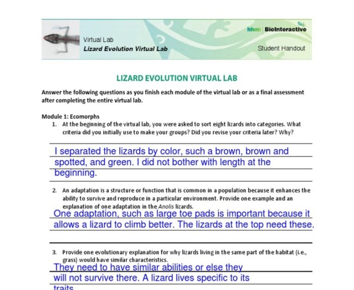 Gizmo answer key evolution mutation and selection