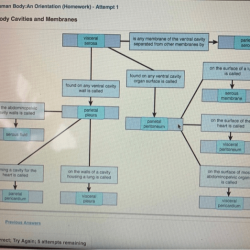 Chapter solved worksheet orientation human body answer problem been has answers