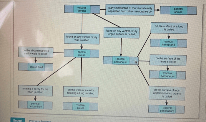 Chapter solved worksheet orientation human body answer problem been has answers