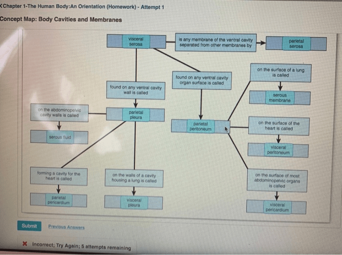 Chapter solved worksheet orientation human body answer problem been has answers