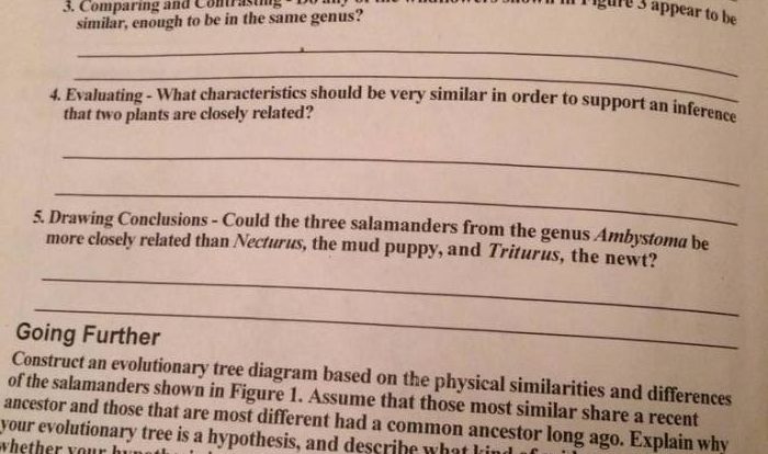 Living environment core curriculum workbook answer key pdf